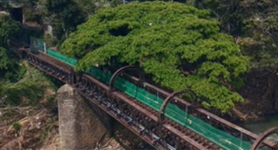 Peradeniya Bridge Nears Completion